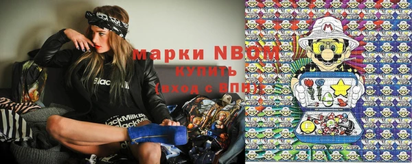 стаф Баксан