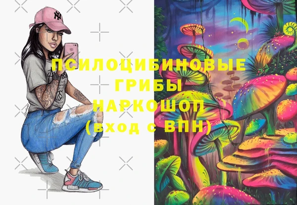 стаф Баксан